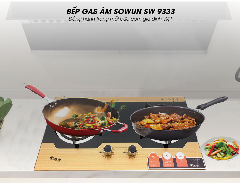 Bep-gas-am-Sowun-SW-9333-01-1