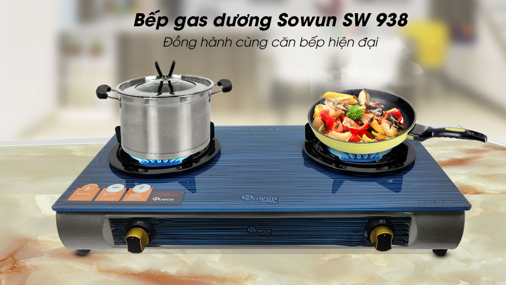 Bep-gas-duong-Sowun-SW-938-01-1