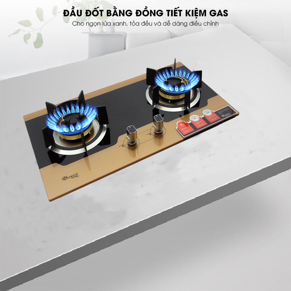 dau-dot-Bep-gas-am-Sowun-SW-9225