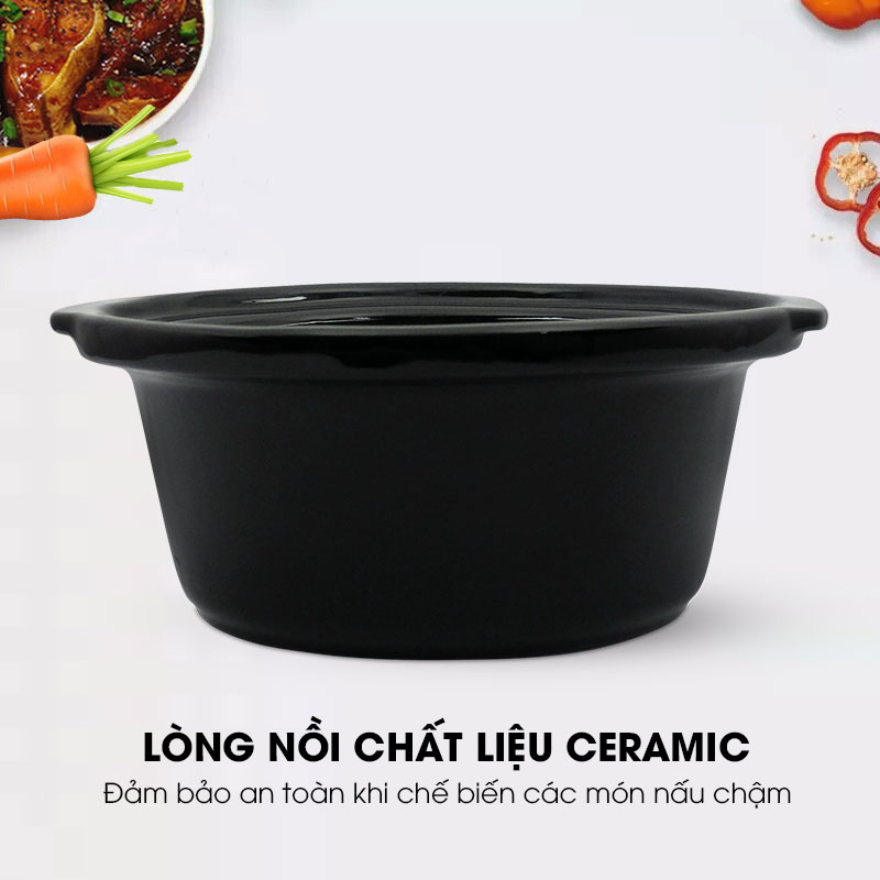 Noi-nau-cham-Sowun-SW-6013-02