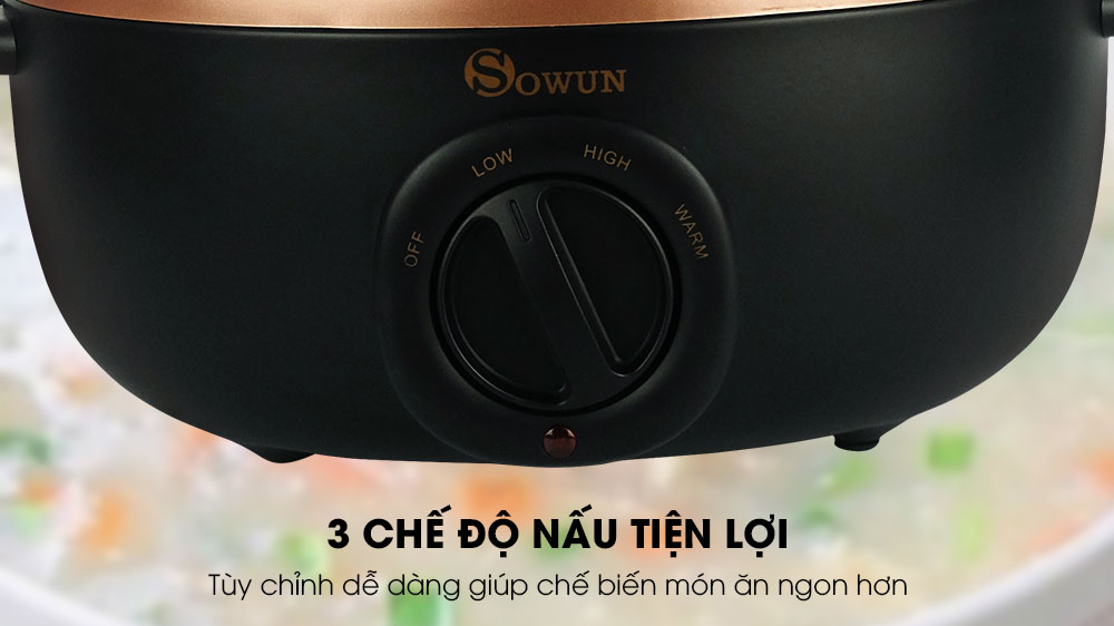 Noi-nau-cham-Sowun-SW-6013-03
