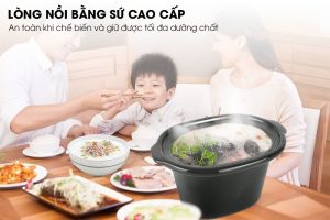 long-noi-nau-cham-Sowun-SW-6011